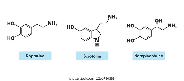 Dopamina, Norepinefrina (noradrenalina) y estructura molecular serotonina. molécula de neurotransmisor. Fórmula química esquelética. Hormona de felicidad y alegría. Ilustración vectorial aislada en blanco е