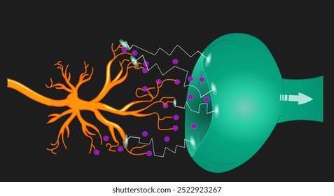 Receptor de dopamina, vesículas sinápticas, clave sináptica. Sinal elétrico do nervo de transmissão do neurônio pré-sináptico. Neurotransmissor. Doença de Parkinson. Iluminação, fundo escuro. Ilustração vetorial