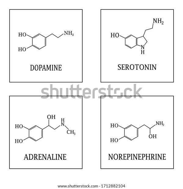 Адреналин допамин. Dopamine Serotonin norepinephrine.