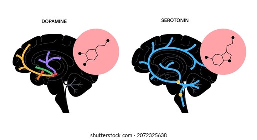 Dopamine and serotonin formula icon or logo. Monoamine neurotransmitter. Modulating mood, learning and memory processes. Motivational component of reward, motor control vector illustration