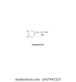 Dopaquinone skeletal structure diagram.Dopamine metabolite compound molecule scientific illustration on white background.