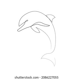 dophin line art vector nature