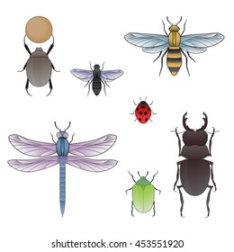 Dor beetle, fly, bee, dragonfly, ladybug, maybug and beetle rhinoceros. Vector Illustration.