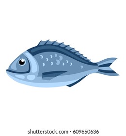 Dorada fish. Isolated illustration of seafood on white background.