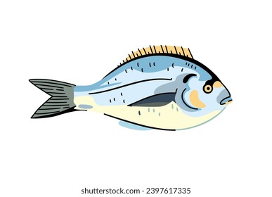 Dorado. Commercial seafood fish. Isolated design element. Vector illustration.