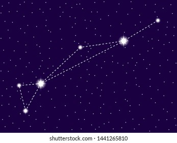 Dorado constellation. Starry night sky. Cluster of stars and galaxies. Deep space. Vector illustration