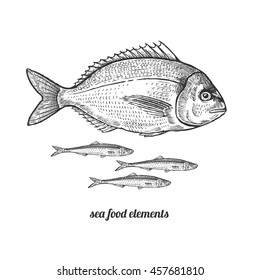 Dorado fish and anchovies. Seafood. Vector illustration. Isolated image on white background. Vintage style. Hand drawn black ink image.