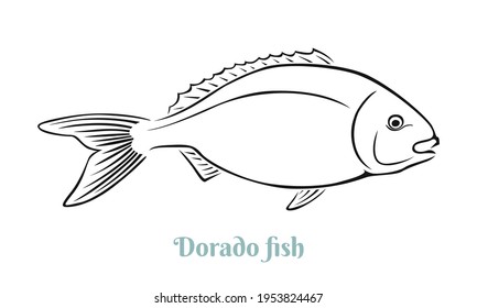 Dorado fish black and white outline. Vector illustration. Seafood label, icon.