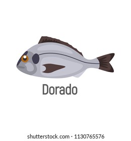 Dorado fish color iolated on white icon