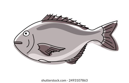 Dorado Fish hand drawn Illustration. Delicious dorado fish for restaurant menu.