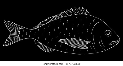 鯛 イラスト 白黒 の画像 写真素材 ベクター画像 Shutterstock