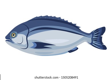 Dorado fish icon isolated on white background, healthy fresh product, mediterranean cuisine, vector illustration