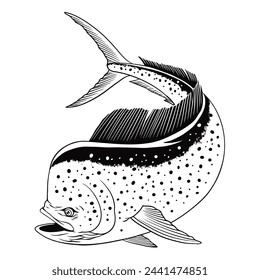 Dorado Fish Illustration in Black and White