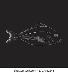 Dorado Fish Illustration Outline On Black Stock Vector (Royalty Free ...