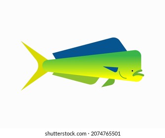 Dorado fish isolated. Mahi Mahi saltwater fish. vector illustration