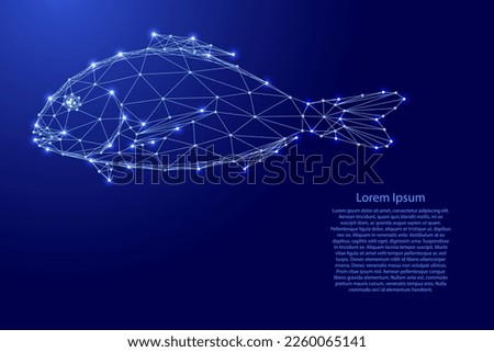 Dorado fish, marine product source of omega 3, from futuristic polygonal blue lines and glowing stars for banner, poster, greeting card. Low poly concept. Vector illustration.
