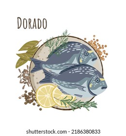 Dorado fish on a plate seasoned with lemon, mustard, dill, allspice, bay leaf, Caraway, Rosemary. Flat style. Vector illustration