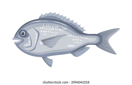 Dorado fish on white background, seafood. Vector illustration.