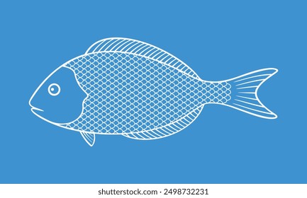 Dorado Fish outline. Isolated Dorado Fish on white background