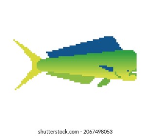 Dorado fish pixel art. 8 bit Mahi Mahi pixelated. vector illustration