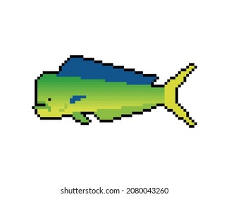 Dorado fish pixel art. 8 bit Mahi Mahi pixelated. vector illustration