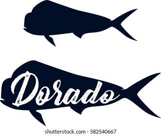 Dorado fish. Sea fish. Vintage fish.