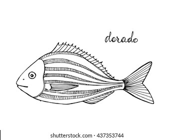 Dorado fish. Seafood design elements. Seafood / fish menu, poster, label etc. Hand drawn ink sketch illustration. Vector illustration