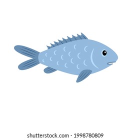 Dorado fish. Seafood isolated on white background. Vector illustration