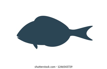 Dorado Fish silhouette. Isolated dorado fish on white background