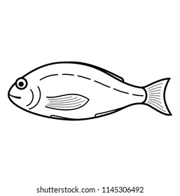 Dorado fish. Vector flat outline icon illustration isolated on white background.