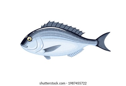 Dorado fish. Vector illustration cartoon flat icon isolated on white background.