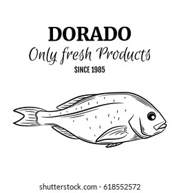 Dorado Fish vector illustration in hand drawn style. Seafood product design.