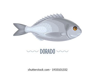 Dorado fresh fish isolated on white background. Vector illuctration, cartoon, simbol, icon, element, logo, sticker for poster, flayer, label, packaging