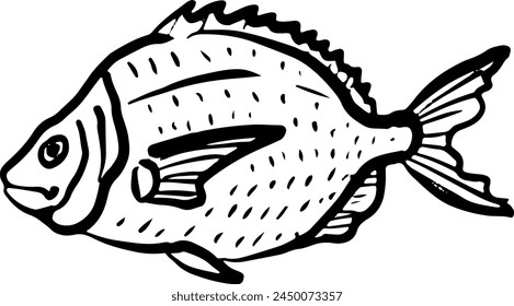 Dorado hand drawn illustration isolated on white background. Sea bream fish vector graphic. Design for culinary branding, maritime artwork.