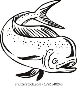 Dorado Mahi-mahi or Common Dolphinfish Jumping Up Retro Black and White