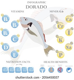 Dorado nutrition facts and health benefits infographic on the white background. Vector illustration