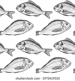 Dorado seamless pattern. Hand drawn vector fish. Sea, river or ocean fish. Design for fishing catch or fisher sport club. Fish market, menu seafood. Design template, banner