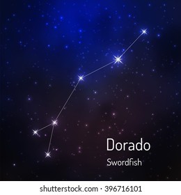 Dorado (Swordfish) constellation in the night starry sky. Vector illustration