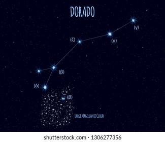 Dorado (The Goldfish) constellation, vector illustration with the names of basic stars against the starry sky