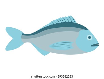 Dorado  vector illustration