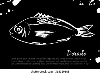 Dorado. Vector isolated illustration. Ink. Hand drawn