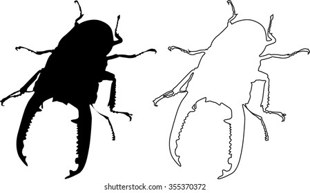 Dorcus titanus palawanicus, Beetle, Vector, T-shirt
