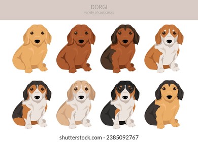 Dorgi clipart. Welsh corgi Dachshund mix. Different coat colors set.  Vector illustration