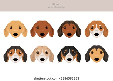 Dorgi clipart. Welsh corgi Dachshund mix. Different coat colors set.  Vector illustration