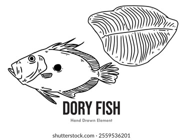 Dori fish black hand drawn sketch with picture of whole fish and fish fillet