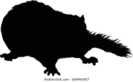 Dormouse (Gliridae) Silhouette Vector Found In Europe, Asian And Africa