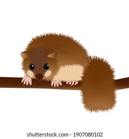 Dormouse sitting on branch vector illustration