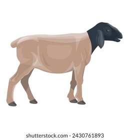 Dorper sheep with a black head side view. Animal farming. Vector illustration isolated on a white background svg
