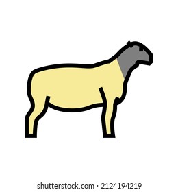dorper sheep color icon vector. dorper sheep sign. isolated symbol illustration svg
