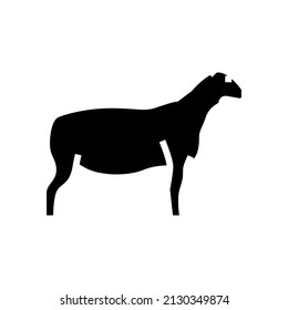 dorper sheep glyph icon vector. dorper sheep sign. isolated contour symbol black illustration svg